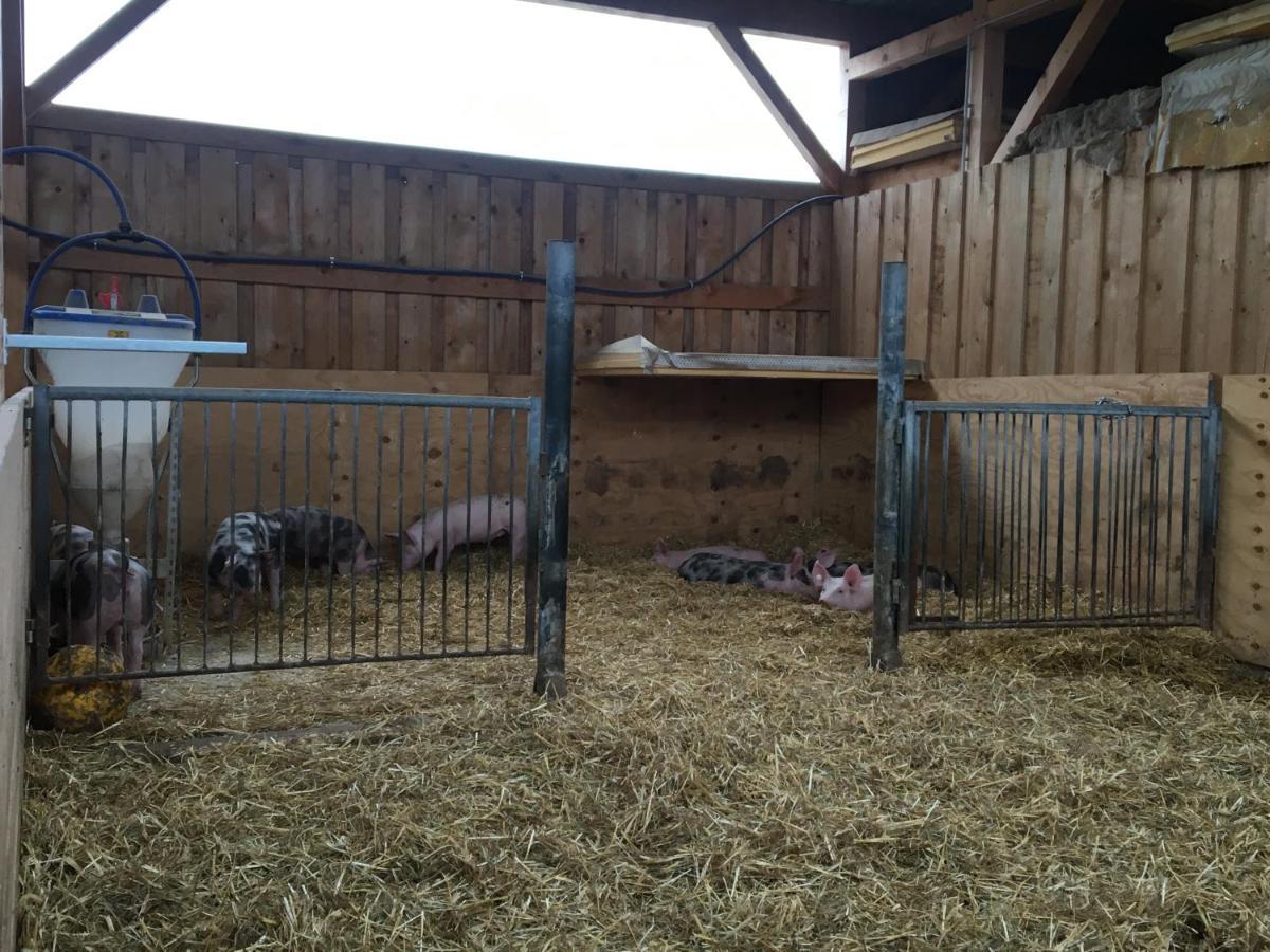 Ferienwohnung Auf Dem Bauernhof Котбус Екстериор снимка