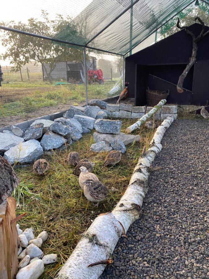 Ferienwohnung Auf Dem Bauernhof Котбус Екстериор снимка